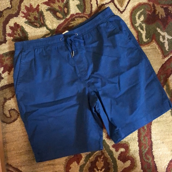GAP Size Large Pull-On Short Cotton/Spandex Classic Blue Elastic & Tie $49 NEW - Picture 1 of 16